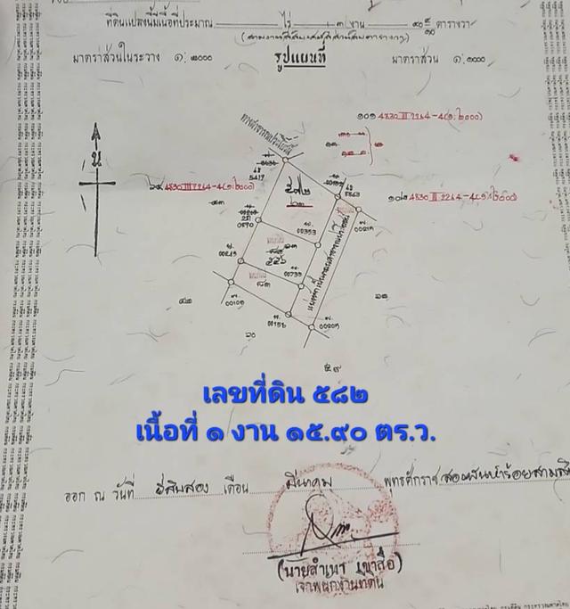 ขายที่ดินเปล่าโฉนด 1 งาน 15.9 ตร.ว. อยู่ในชุมชน ต.นาชะอัง อ.เมืองชุมพร ห่างศาลากลางจังหวัดเพียง 3 กม. ที่เนินปลอดภัยจากน้ำท่วม เจ้าของเองครับ 18