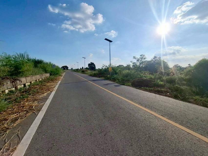 ขายที่ดินแถววิทยาลัยพละศึกษาคลอง 13 ธัญบุรี ถนนเลียบคลองชลประทาน 3