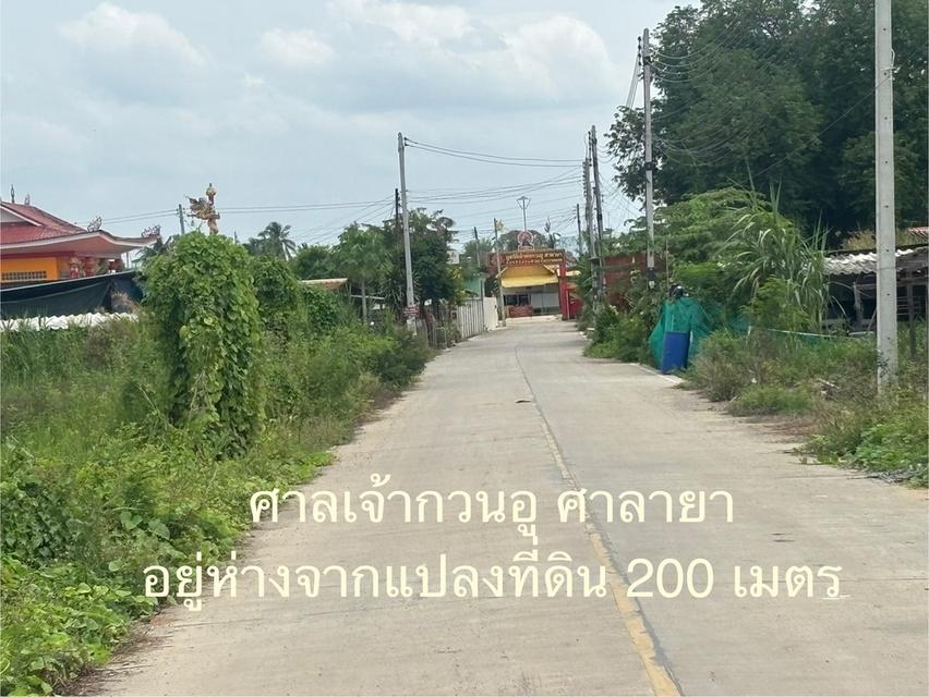 ขายที่ดิน 1ไร่ ซอยยิ่งเจริญ ศาลกวนอูศาลายา ซอยมหาสวัสดิ์ 4 ต.มหาสวัสดิ์ อ.พุทธมณฑล จ.นครปฐม 4