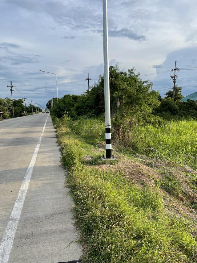 ทีดิน 10ไร่ หันคา ชัยนาท ติด สุพรรณบุรีเจ้าของขาย้อง 4