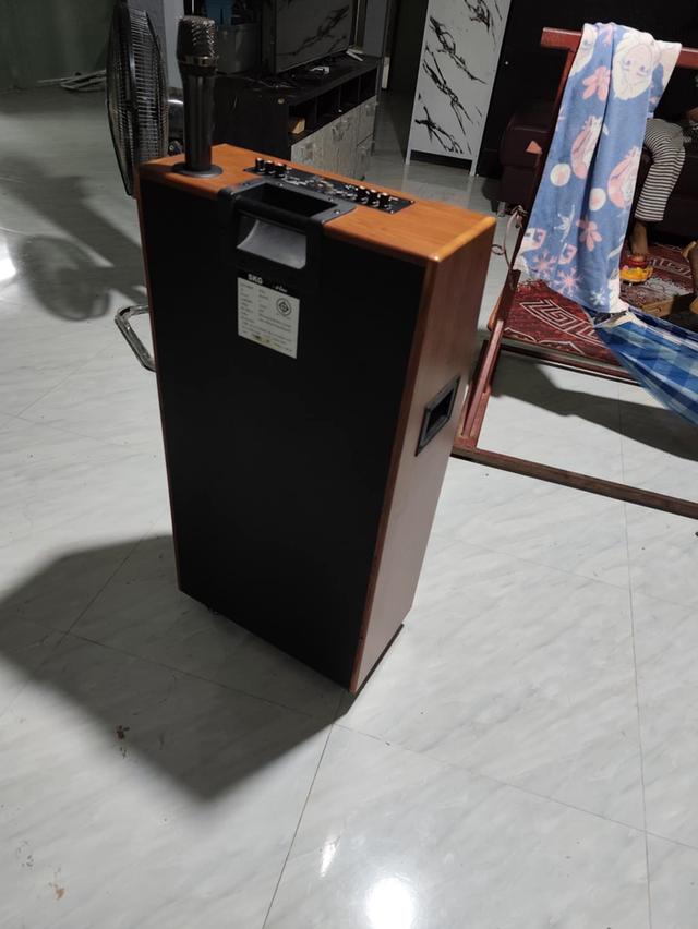 ลำโพงคาราโอเกะSKG AV-8119 3