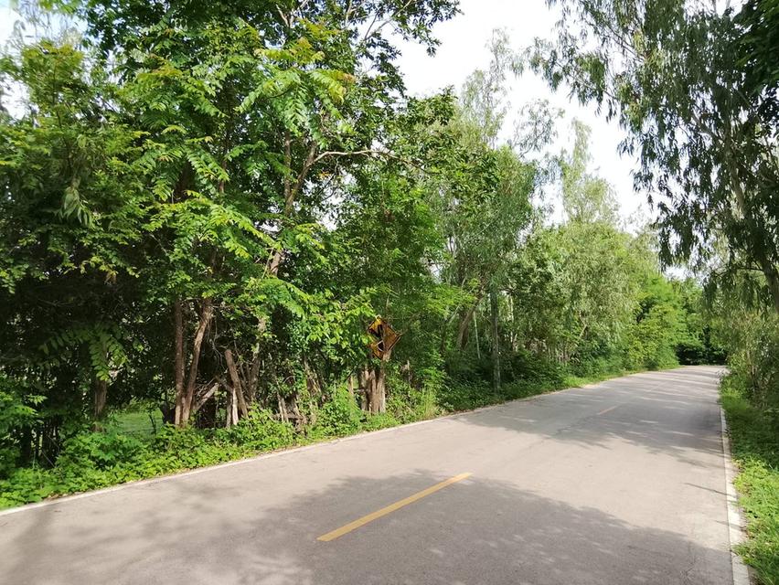ที่ดิน อำเภอเถิน จังหวัดลำปาง 9
