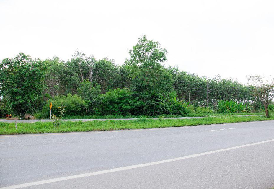 ขายที่ดินจันทบุรี ท่าใหม่ ทุ่งเบญจา ติดถนนใหญ่สุขุมวิท 6ไร่ 2งาน 71ตรว. (เจ้าของขายเอง) 1