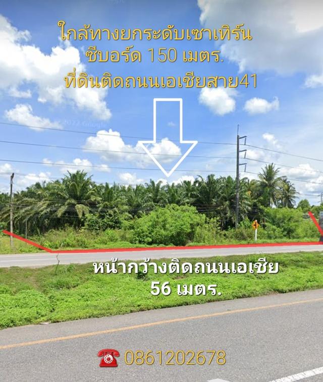 ขายที่ดินติดถนนเอเชีย41 ในสุราษฎร์ธานี 14