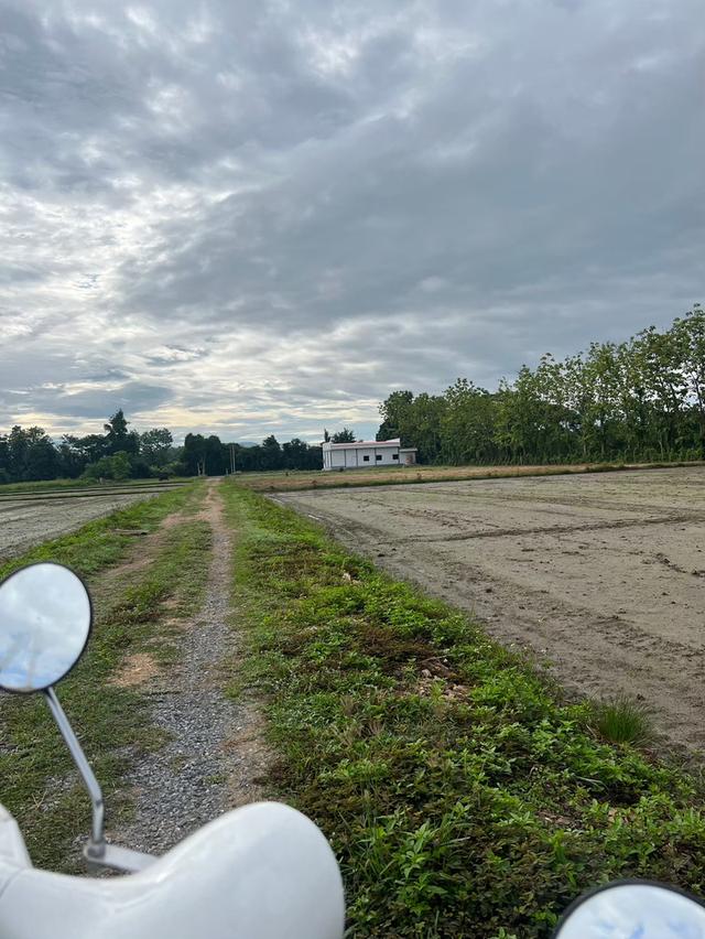 ที่ดิน เจ้าของขายเอง ปี 2569 17