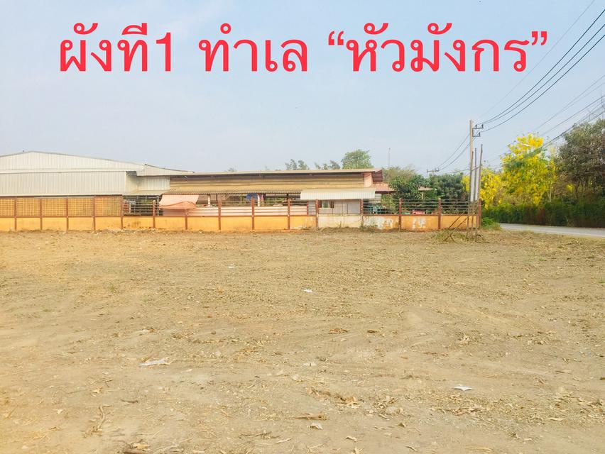 ขายที่ดิน ถมแล้ว 1ไร่ 200ตรว ลาดหลุมแก้ว ในถนนกำนันวิรัตน์ 1