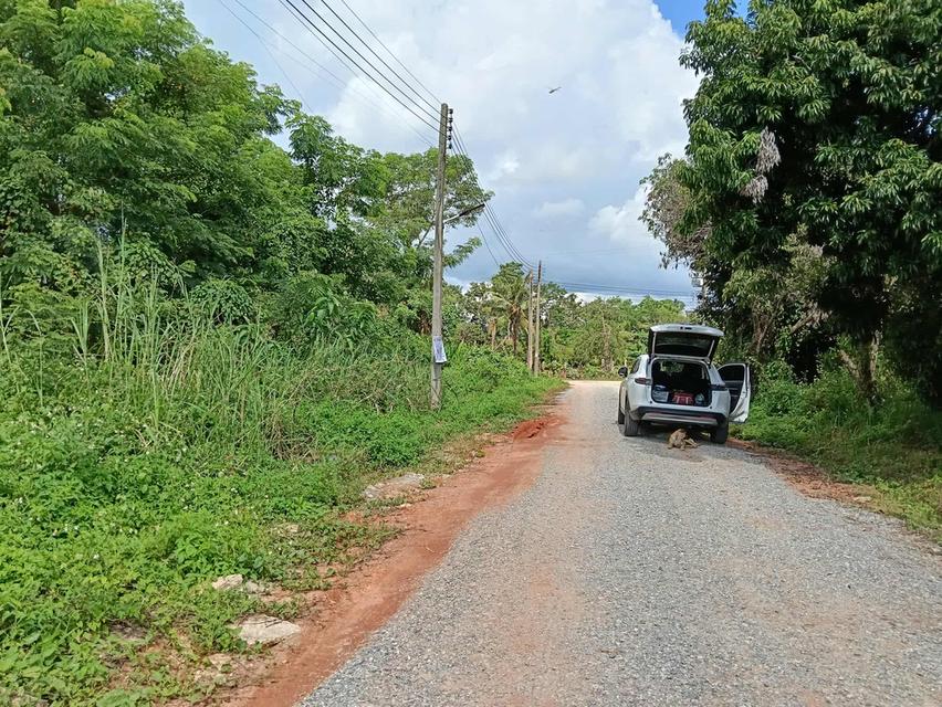 ที่ดินจัดสรร มีโฉนดทุกแปลง ราคาตารางวา ละ 10,000 บาทถนน กว้าง น้ำ ไฟ พร้อม เจ้าของขายเอง  5