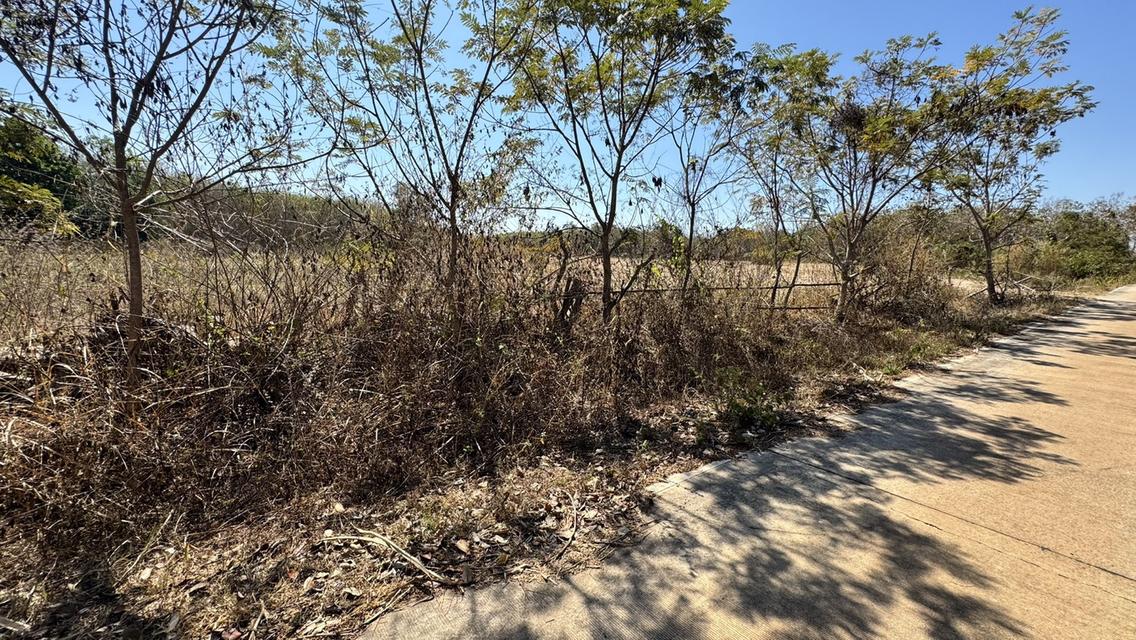 ขายที่ดิน อำเภอ พรรณา 4