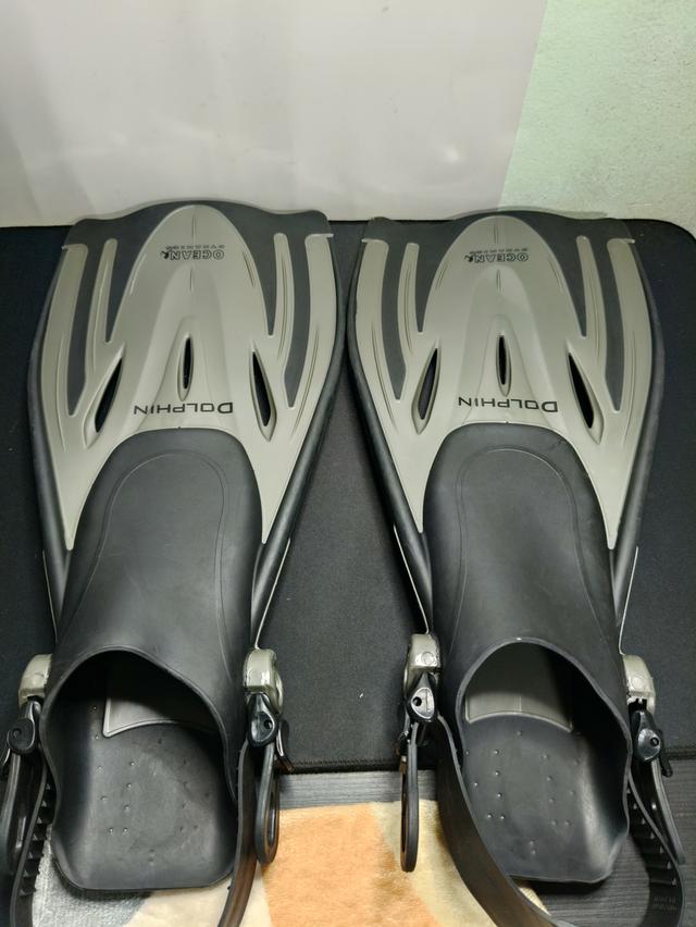 ตีนกบดำน้ำ OCEAN DYNAMICS รุ่น DOLPHIN ไซส์ S/M (38-41) แบบปรับส้นได้