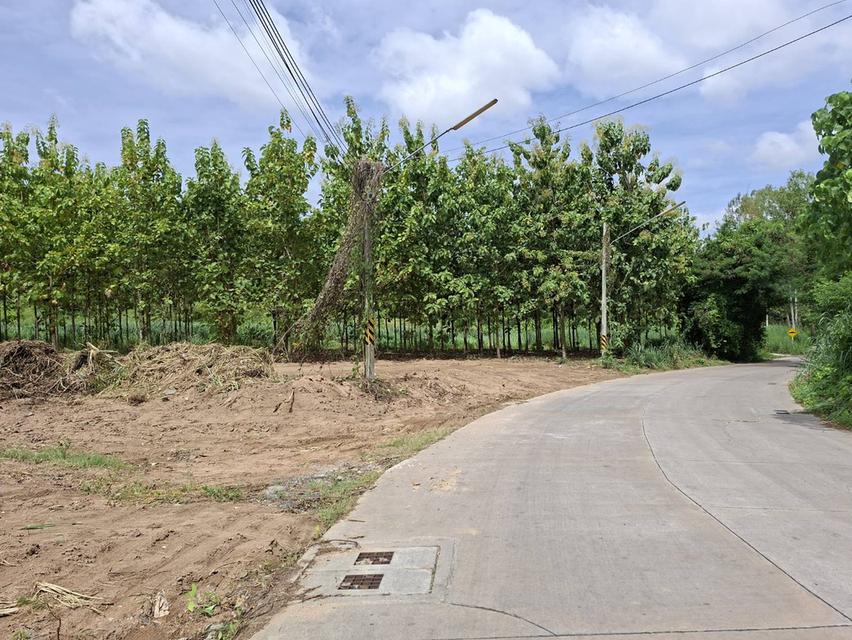 ที่ดิน 2 งาน บ่อวิน ใกล้ถนนบ่อวิน- ยางเอน ราคา 1.4 ล้าน 2