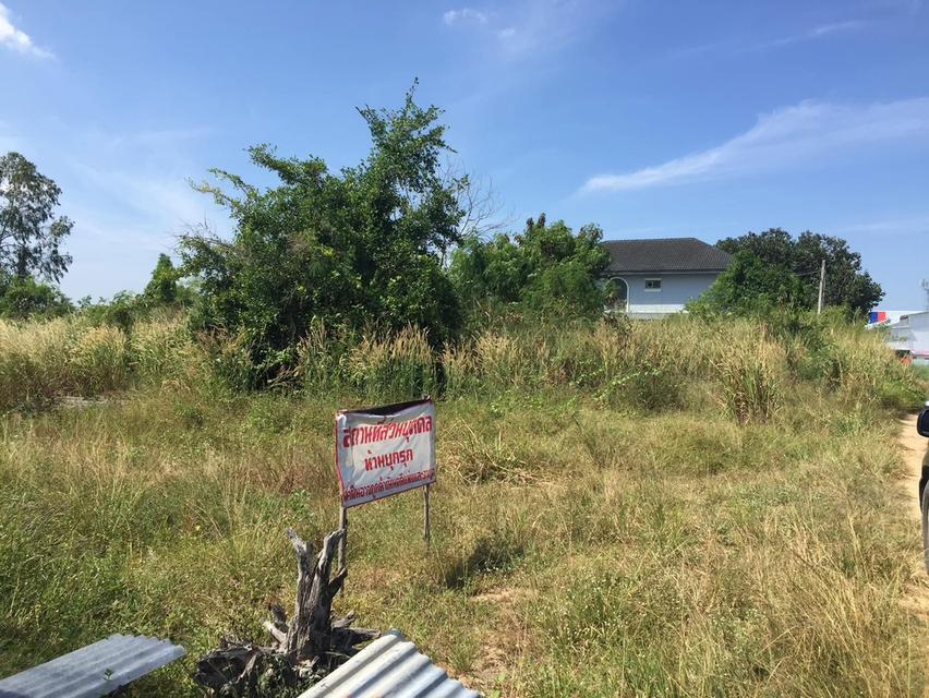 ทีดินเปล่า 1 ไร่ 99 ตร.วา 5