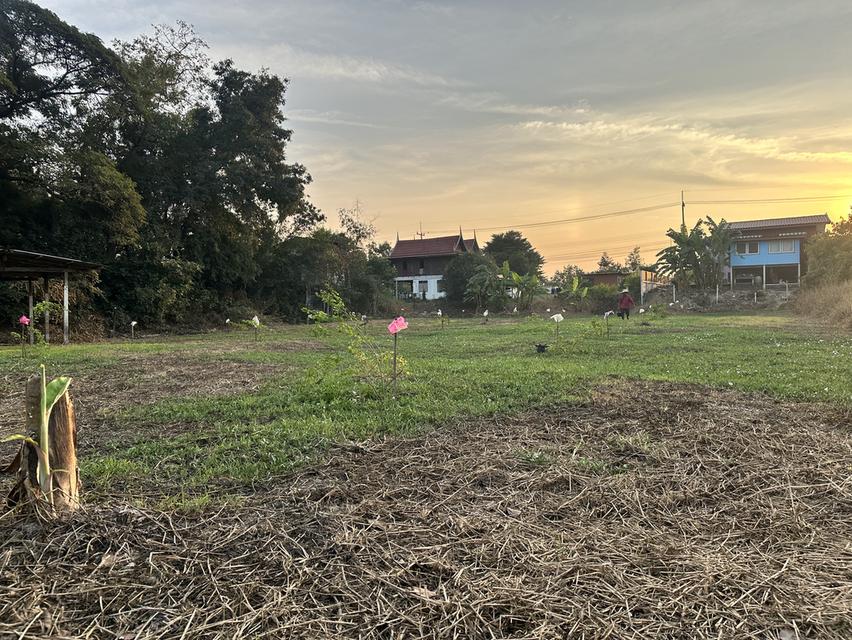 ขายที่ดิน 1 ไร่ (400 ตร.วา) ต.สวนพริก เมืองพระนครศรีอยุธยา 3