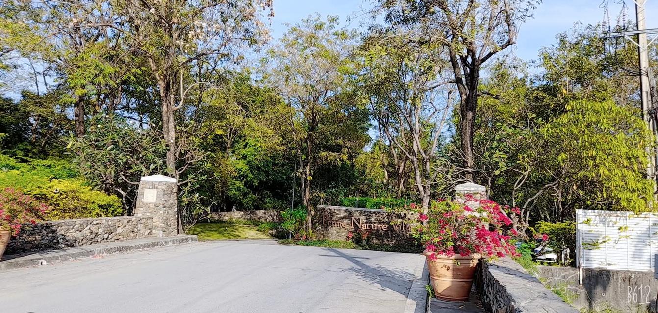 บ้านเดี่ยว 2ชั้น 4นอน 4น้ำ 2จอด 14