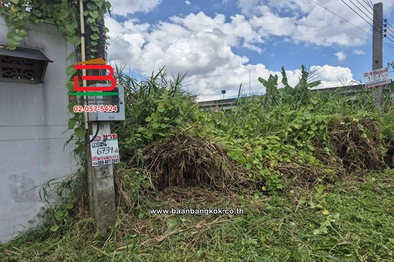ขาย/เช่า ที่ดินเปล่า เนื้อที่ 1-2-73.4 ไร่ ซอยจตุโชติ 8 ใกล้ตลาดออเงิน ถนนจตุโชติ แขวงออเงิน เขตสายไหม 5