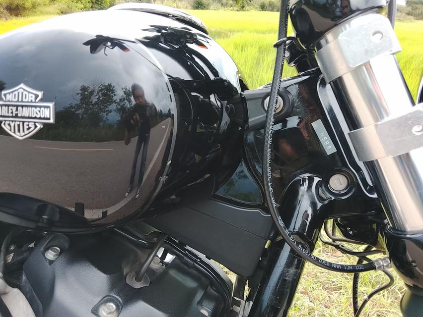 ⚫𝐇𝐀𝐑𝐋𝐄𝐘-𝐃𝐀𝐕𝐈𝐃𝐒𝐎𝐍 𝐒𝐓𝐑𝐄𝐄𝐓 𝐁𝐎𝐁  ปี 𝟐𝟎𝟏𝟗 รูปที่ 13