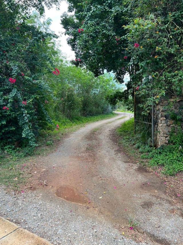 ให้เช่าที่ดิน / ขาย เขาใหญ่ 3 งาน 56 ตร.ว. วิวภูเขา ต.หมูสี ปากช่อง นครราชสีมา  7