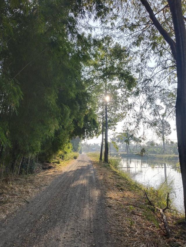 ที่ดิน บ้านพร้อมที่ดิน อ.บ้านลาด จ.เพชรบุรี 7