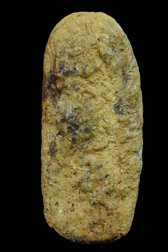 พระลีลาเนื้อว่านหน้าทอง รูปที่ 3