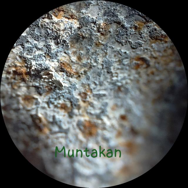 หลวงพ่อโตพิมพ์ปางป่าเลไลย์ รูปย่อยที่ 4