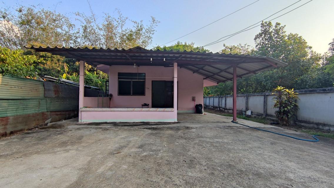 บ้านพร้อมที่ดิน 100 ตร.ว. 3 ห้องนอน 2 ห้องน้ำ ห้วยทราย สันกำแพง 2