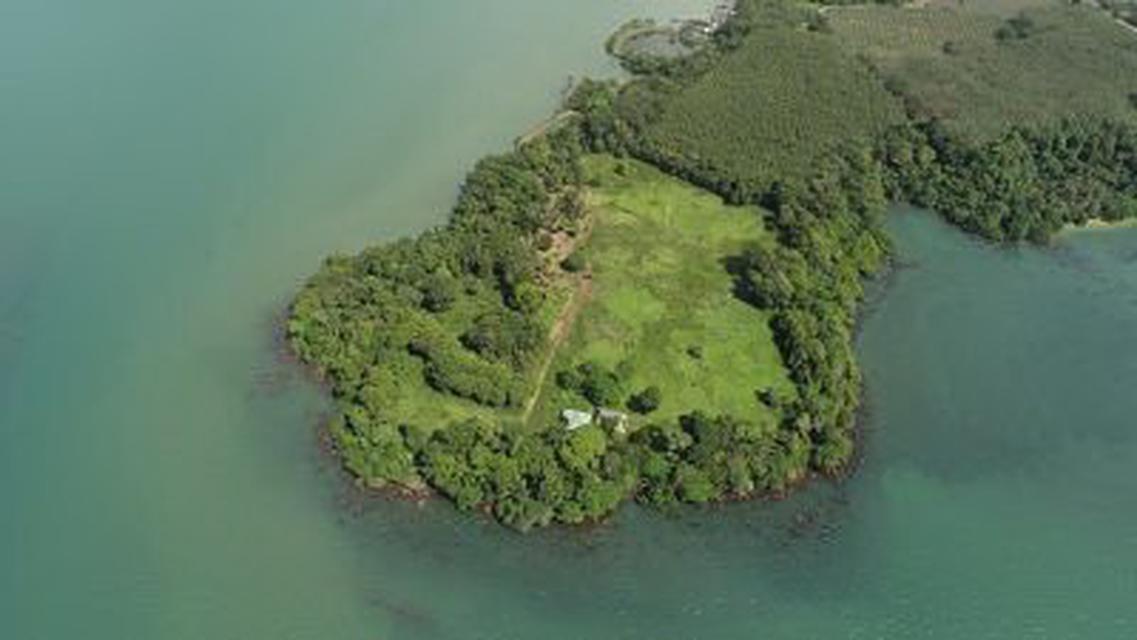 Sale Beautiful land island at Trat surrounding sea view 3