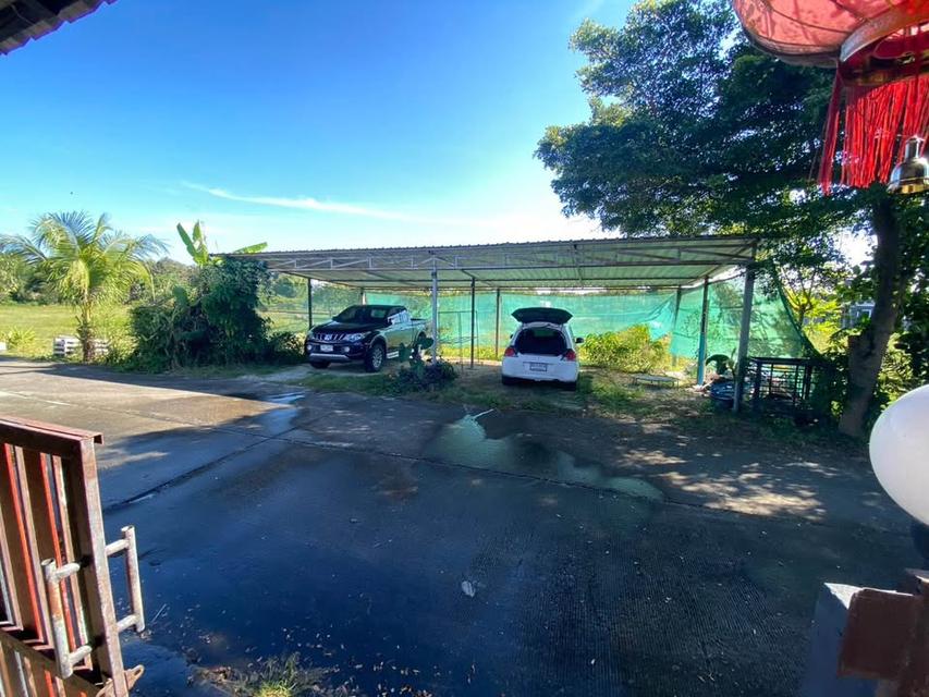 🏡 บ้านเดี่ยวชั้นเดียวทำเลแม่โจ้ ใกล้ตลาด มหาวิทยาลัยแม่โจ้ โรงพยาบาล #สันทราย ราคาเพียง 10,000 บาท/เดือน ✨ 清迈独栋平层别墅出租 4 卧室 2 卫生间 – 租金 10,000 泰铢/月 ✨ 13