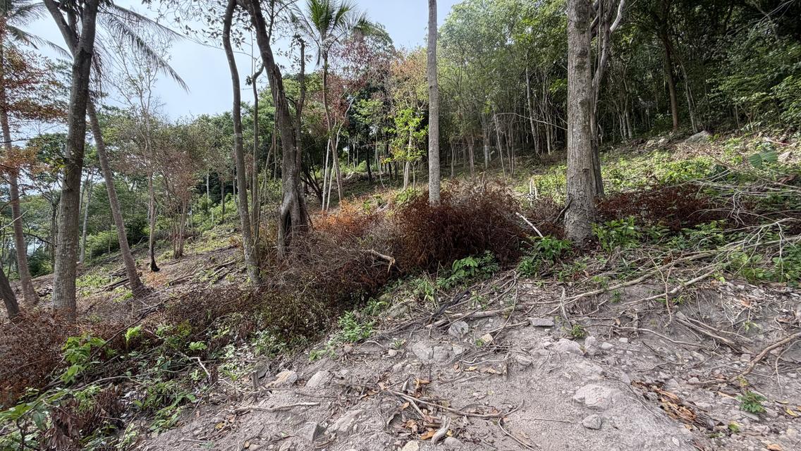 Prime Sunset & Sea View Land for Sale in Koh Samui – A Rare Investment Opportunity! 5