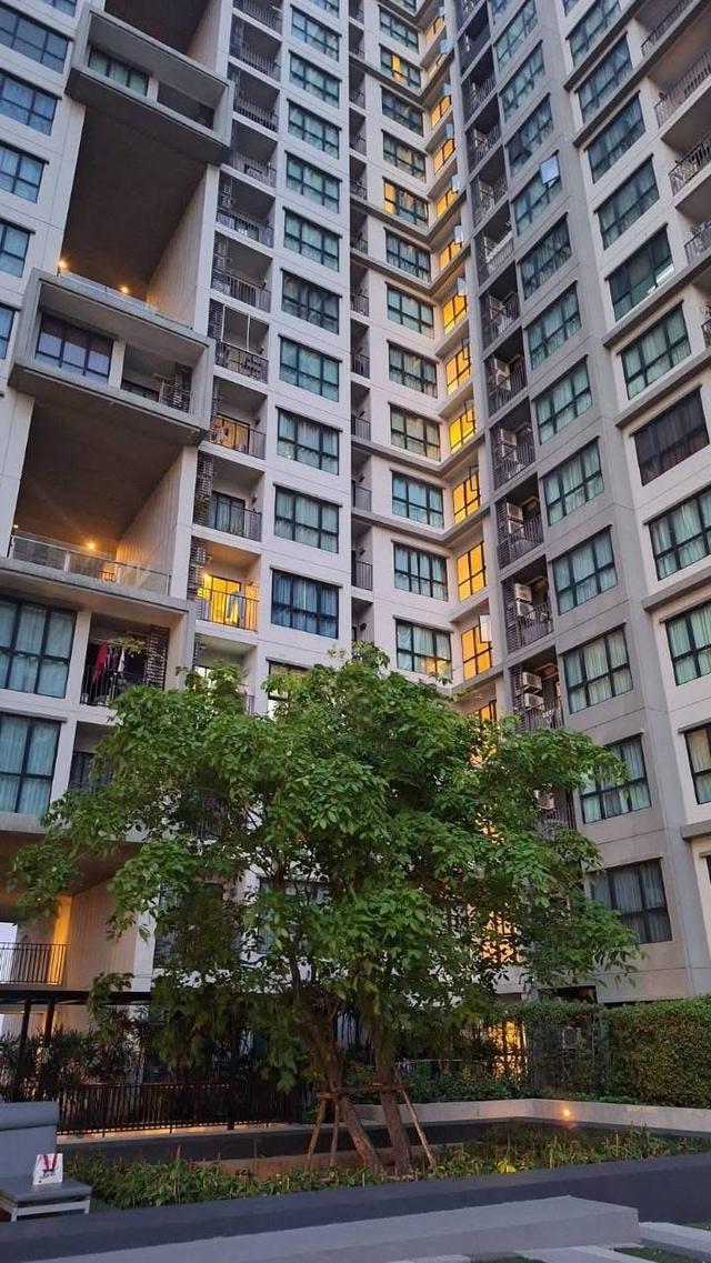 ขาย/ ให้เช่า 🌄 Condo The Base Chaengwattana 17