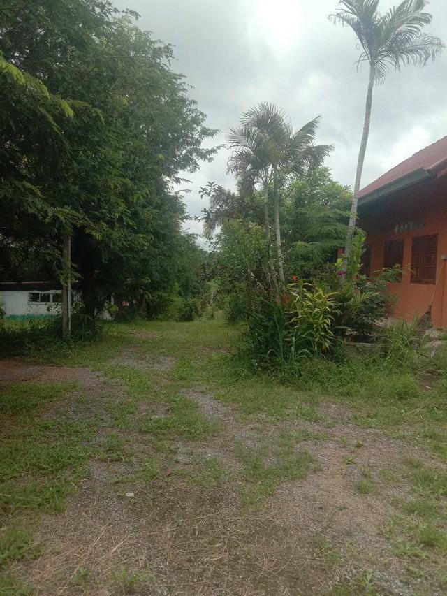 ที่ดินพร้อมบ้าน 4ไร่2งาน 3.2 ล้าน ห่างจากถนน 304 2กิโลเมตร ทางไปคลองสอง