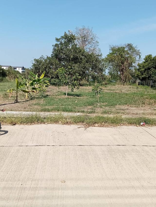 ขายที่ดินเปล่า 235 ตรว.ติดทะเลสาบ อยู่ในโครงการหมู่บ้านเดอะลากูน 1 ปทุมธานี 11