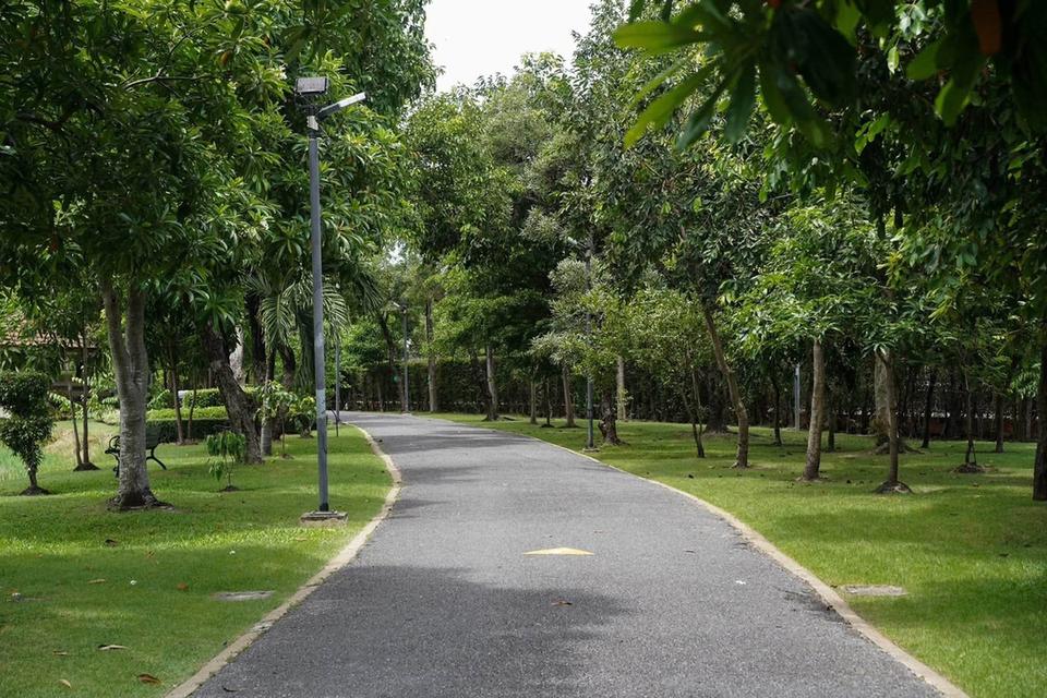 ขายที่ดิน หลังห้างพาราไดซ์ เข้าสวนกลวง ร.9 เพียง 550 เมตร เพื่อนบ้านดี 2