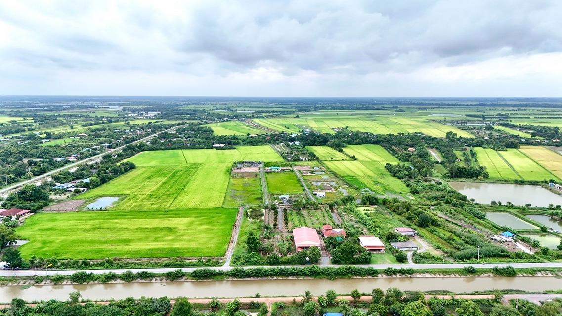ขายที่ดินจัดสรร เงินสดและผ่อน 3