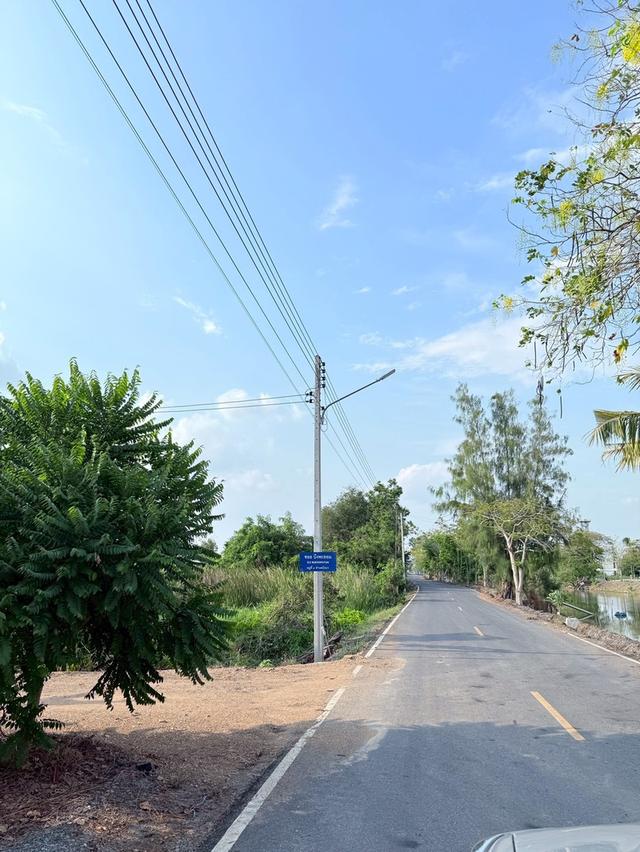 ที่ดินวิวบึง คลอง 10 หนองเสือ ปทุมธานี — แปลงละ 100 ตร.ว. 8