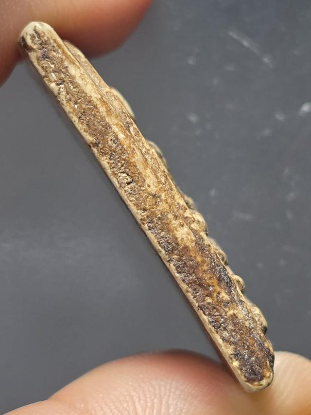 31/1#ขายพระบ้านเก่าเก็บ รูปที่ 2