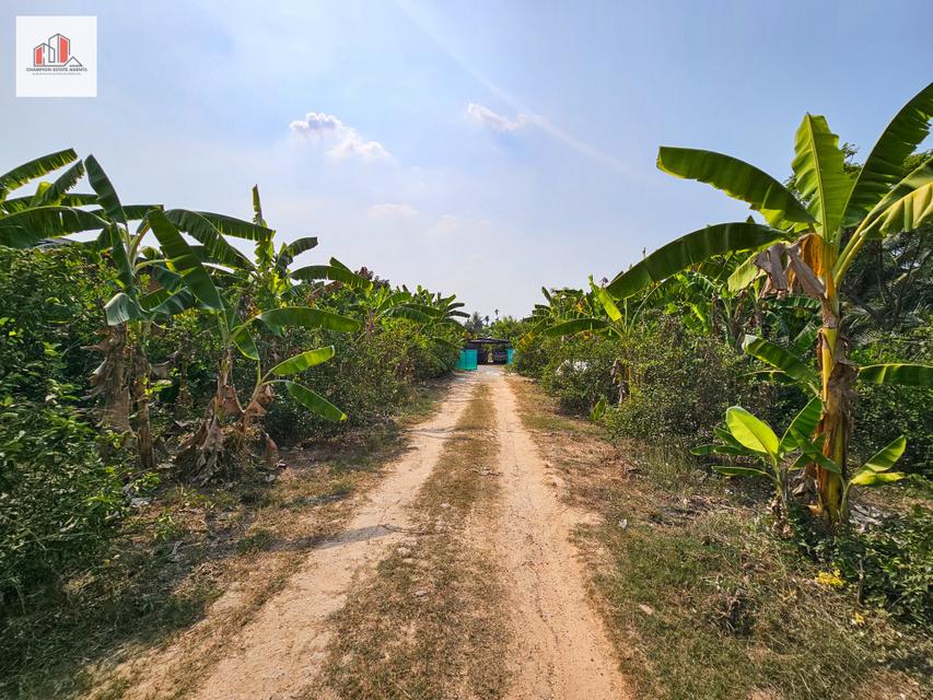 ขาย ที่ดิน ใกล้ถนนบรมราชชนนีเพียง 2 กม. ใกล้วัดดอนหวาย นครปฐม ต.ทรงคนอง อ.สามพราน 2 ไร่ 97 ตรว 6