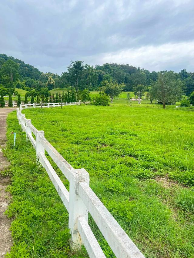 📣🏡 ที่ดินวิวดอย #บ้านปง อ.หางดง เชียงใหม่ 7