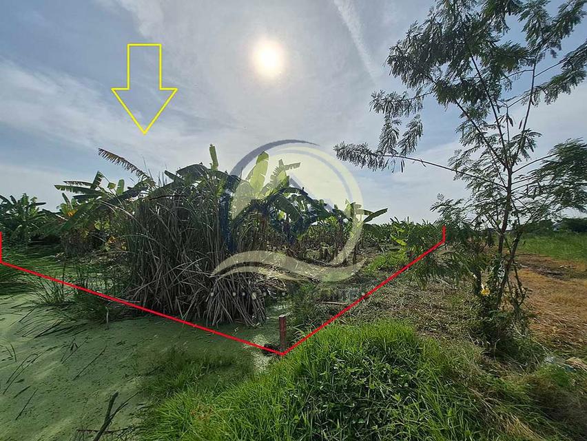 ขาย ที่ดินเปล่า 1-1-33 ไร่ ( 533 ตร.ว. ) ซ.บึงบอน 11 ถ.รังสิต-นครนายก  จ.ปทุมธานี  13