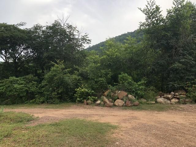 รวมบ้านที่ดินดีงามเพื่อคุณ ขายที่ดินสวยติดภูเขา เทือกเขายาวเรียงแนว ดินดีสมบูรณ์ทรัพย์ในดิน ฟ้าใสวิวหลักล้าน ต.นาจาน อ.ส 4