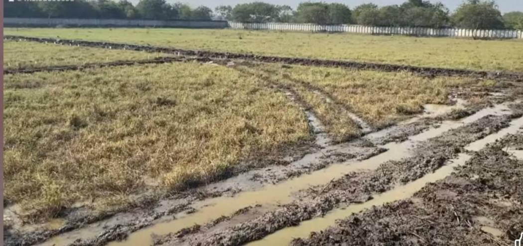 ขาย ที่ดิน ถนนอย2045 อุทัย อยุธยา 13 ไร่ 1 งาน 48 ตรว สีม่วง ใกล้นิคมโรจนะ อยุธยา 6