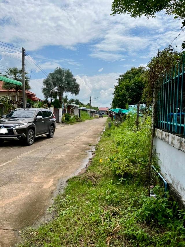 ขายที่ดิน น้ำไม่ท่วม 1