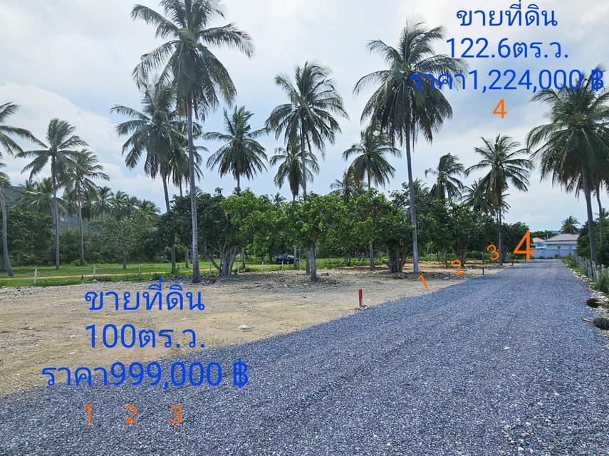 ายที่ดินเปล่า 1