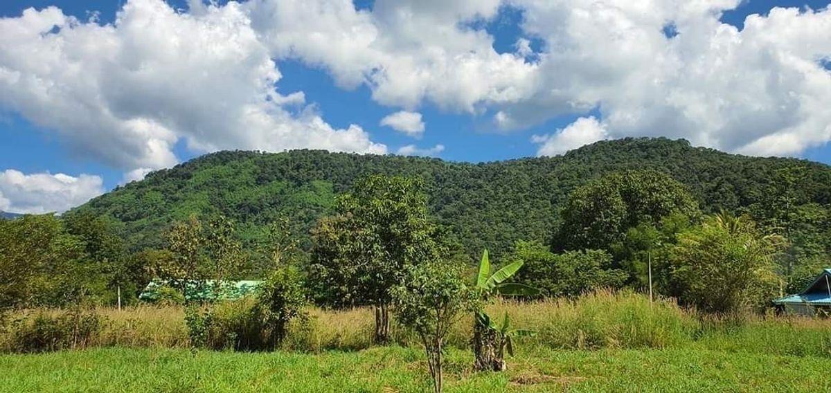 ขายที่ดินปราจีนบุรี 26 ไร่ 2 งาน 92 ตร.ว. ใกล้ทางขึ้นเขาใหญ่ ใกล้น้ำตกวังตะแคง วิวเขาอีโต้ ตำบลเนินหอม 7