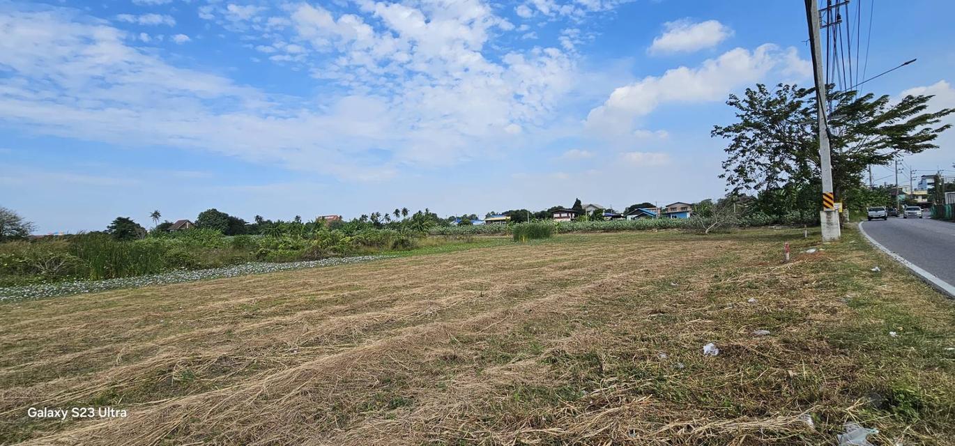 AS059 ขายที่ดินขนาด 21-2-11 ไร่ สวยงามติดถนน พร้อมถมแล้ว ใกล้ถนนพระราม 2 ถนนกว้างการเดินทางสะดวก สมุทรสาคร 2