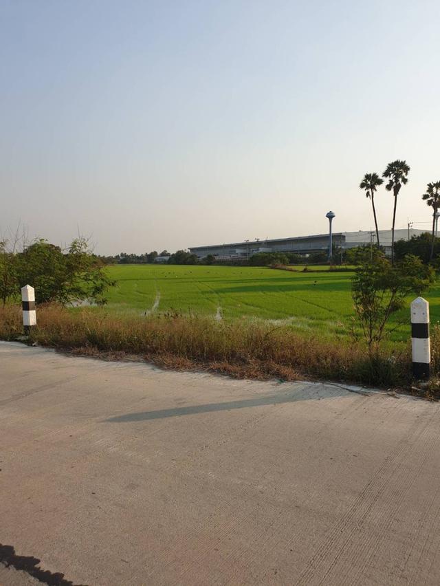 ขายที่ดิน 6-2-13 ไร่ ทำเลศักยภาพ สามโคก ปทุมธานี 3
