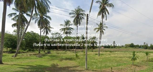 DSL-1106 ขายด่วน ๆ ที่ดิน //ถูกสุด//ขายที่ดินเปล่าติดถนน (ระดับเสมอถนน) 7 ไร่ (ใกล้ท่าอากาศยานโพธาราม) ต.เขาชะงุ้ม อ.โพธ 8