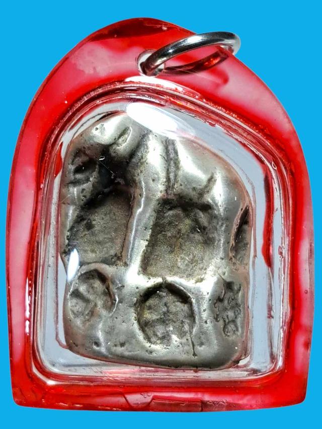 ช้างหลวงพ่อเงิน เนื้อกะไหล่เงิน 3