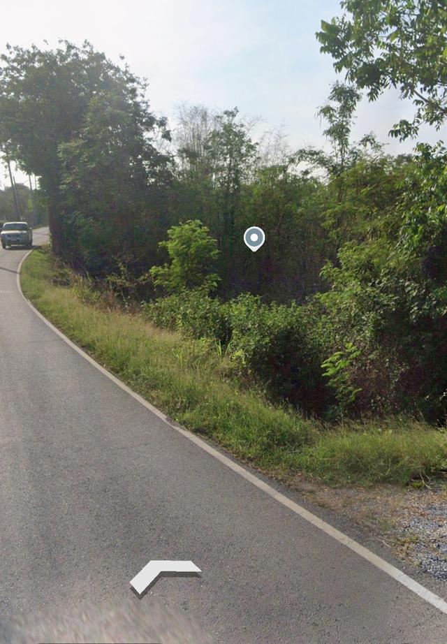 ที่ดินว่างเปล่า1ไร่84ตรว. 6