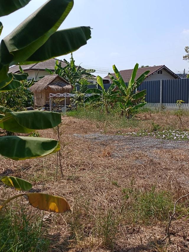 ที่ดิน 200 ตร.ว เจ้าของขายเอง 3