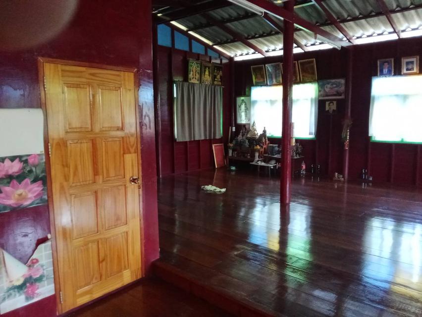 บ้านพร้อมที่ดิน 12