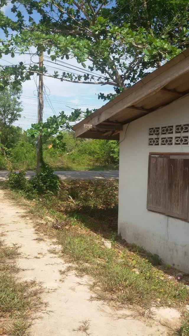 ขายที่ดินบ้าน ม.6 บ้านมะกรูด โคกโพธิ์ ปัตตานี 12